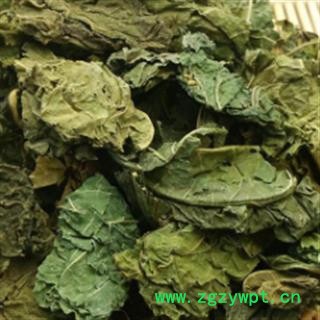 安祁名药正品桑叶 霜桑叶图2