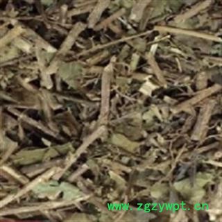 安祁名药正品三角枫  三角风图2