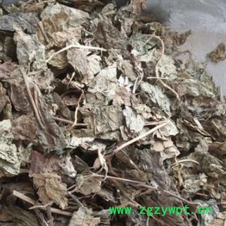 安祁名药正品臭梧桐 梧桐叶另有梧桐花以及梧桐泪图2