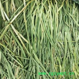 安祁名药优质竹叶 竹叶卷心图2