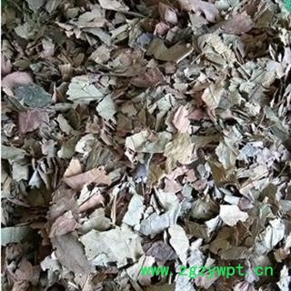 安祁名药手选柿叶 新货供应图2