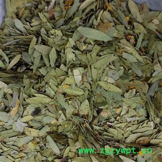 德誉堂药业 番泻叶 统 产地 广西壮族自治区图2