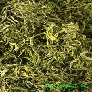 安祁名药中药材忧遁草 忧遁叶 接骨木 青箭图2