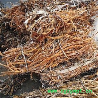 【买10送1】桑白皮 桑根皮 桑皮 桑树皮 秦岭手工去芯 切段 500g【打折已结束】图4