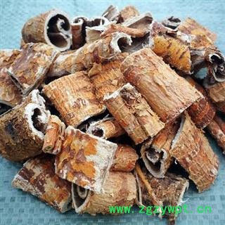 【买10送1】桑白皮 桑根皮 桑皮 桑树皮 秦岭手工去芯 切段 500g【打折已结束】图2