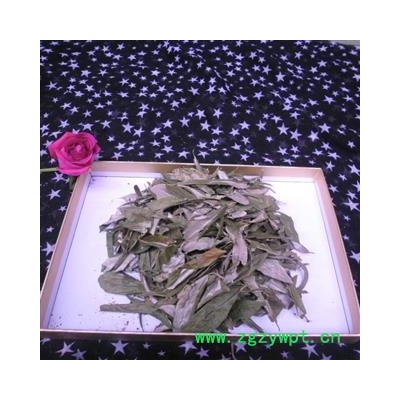 胡颓子叶 选货 产地 四川省成都市双流县