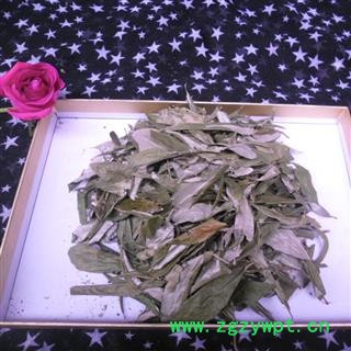 胡颓子叶 选货 产地 四川省成都市双流县图3