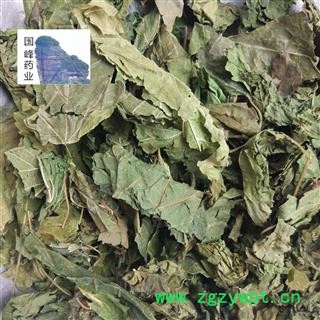 桑叶 颜色好 青色 足干 无虫蛀 国峰药业 重在品质 产地 山东省图2