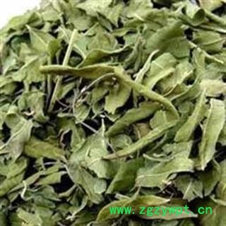 罗布麻 精品罗布麻叶 今年新货 颜色青产地 新疆维吾尔自治区图2