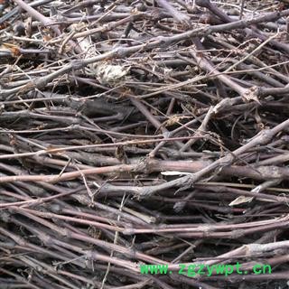 廖子草 统货 产地 四川省成都市双流县图2