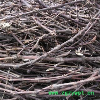 廖子草 统货 产地 四川省成都市双流县图3