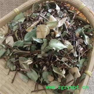 秦岭优质络石手工日晒500g图3