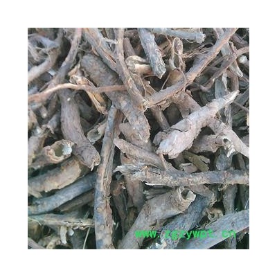 五加皮 五加皮大统货 产地 山西省