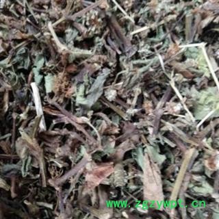 小丽百草行中药材 莽草 水莽草 披针叶茴香红毒茴 芒草 春草 石桂 红桂图2