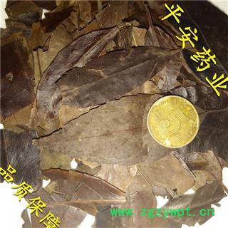 冬青叶 女贞叶 天然 四季青叶 毛冬青叶图2