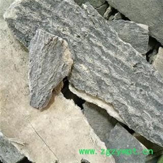 小丽百草行椿皮  椿身皮  另有根皮图2