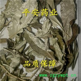 平安药业 胡颓子叶 正品 促销图2