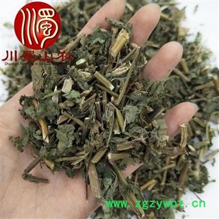 牛舌草无硫统货散装1公斤起批产地直供牛舌大黄川蜀山农中药材批发图2