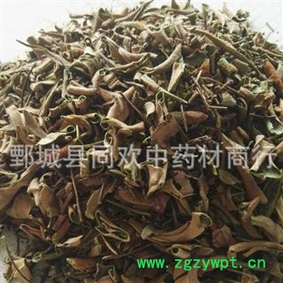 【小叶石韦石苇】@【同欢药材】中药材批发供应 规格齐全 量大从优 产地 云南省图2