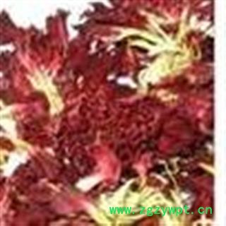 小丽百草行花茶 康乃馨 康仙花 新货 促销图2