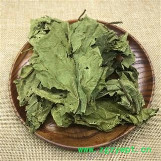 桑叶 青桑叶选货今年新货 山东地产大货直销 产地 山东省图2