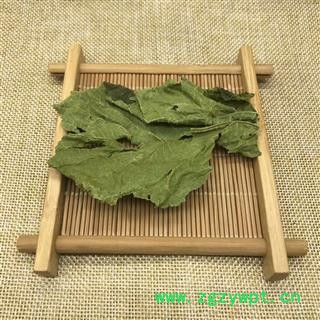 桑叶 青桑叶选货今年新货 山东地产大货直销 产地 山东省图3