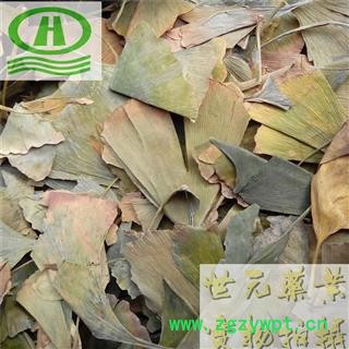 世元药业 银杏叶 药用正品 别称-飞蛾叶 鸭脚子图2