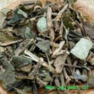 小丽百草行扶芳藤 统货 产地广西 千斤藤 岩青藤图2