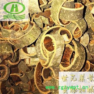 世元药业 厚朴 正品 大卷精选 别称-川朴 川厚朴 紫朴 紫油朴 温朴图2