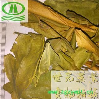 世元药业 桔叶 橘叶 正品 无污染 天然【全品除尘中药】图2