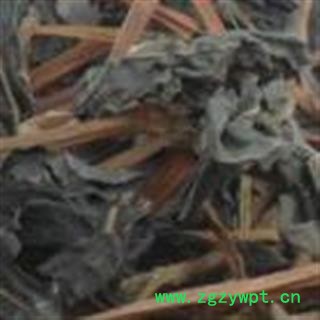 中药材蓼大青叶 批发蓼大青叶 靛叶 产地河北图2