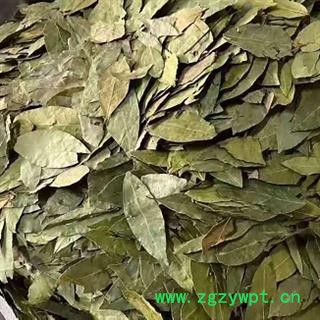 中药材香叶 广西正宗香叶 香叶药食两用 本品是手工挑选 烘干晾晒 无硫新货 干净无杂 色泽自然 安国中药材批发零售大全图3