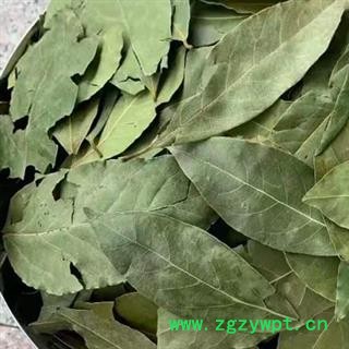 中药材香叶 广西正宗香叶 香叶药食两用 本品是手工挑选 烘干晾晒 无硫新货 干净无杂 色泽自然 安国中药材批发零售大全图2