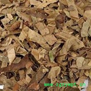 中药材枇杷叶 冷背药材 巴叶、芦桔叶 产地河北 品种齐全 安国市场批发零售大全图2