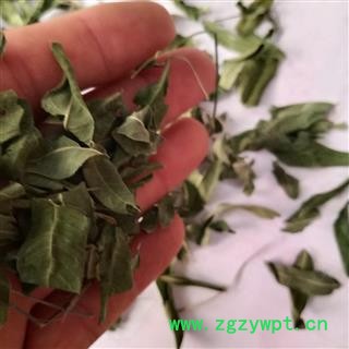 诺源药材行中药材罗布麻 野麻 野茶 茶叶花图2