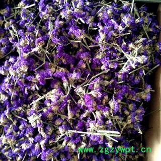 诺源药材行优质百花茶 勿忘我图2