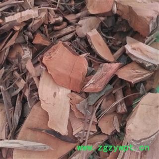 诺源药材行中药材漆大姑  算盘子根图2