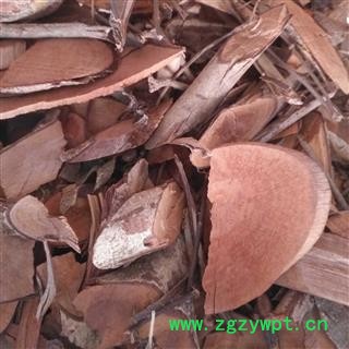 诺源药材行中药材漆大姑  算盘子根图3