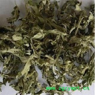 诺源药材行新货供应艾叶 另有艾绒 艾条 艾柱图3