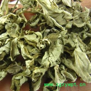 诺源药材行新货供应艾叶 另有艾绒 艾条 艾柱图2