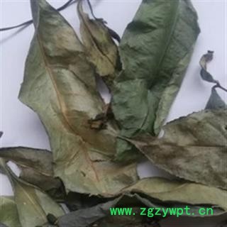 安祁名药正品山香圆叶 两指剑 千打锤 七寸钉图2