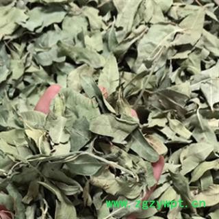 安祁名药罗布麻 大叶罗布麻叶 新疆新货图2