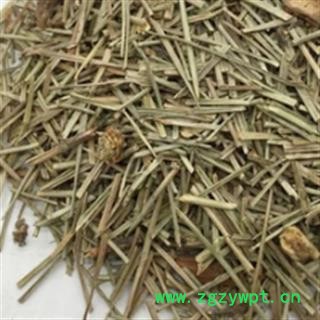 安祁名药正品松针 松叶 马尾松针图2