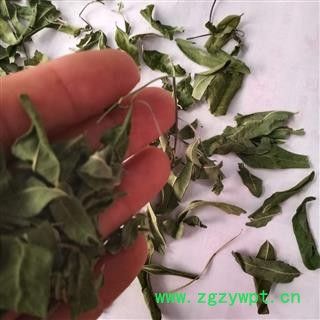 安祁名药罗布麻叶 小叶罗布麻叶 新货颜色绿无硫图3