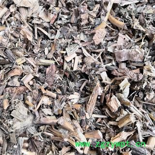 安祁名药猪笼草 雷公平 猪仔草 捕虫草 忘忧草 猪仔笼图2