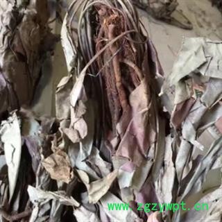 诺源中药材马来西亚  优质东革阿里 卡琪花蒂玛图3