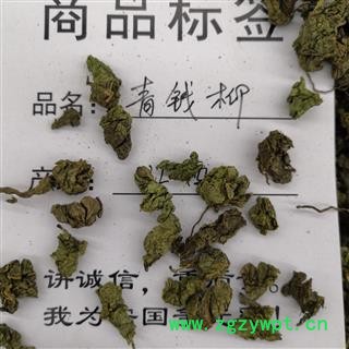 安祁名药青钱柳叶 优质茶饮 另有药用青钱柳叶图2