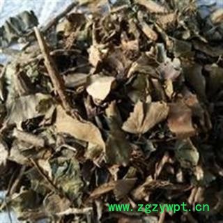 诺源药材行正品中药材常春藤图2