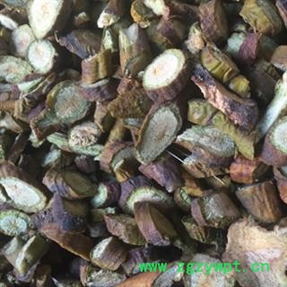 诺源药材行正品寄生 柳寄生图2