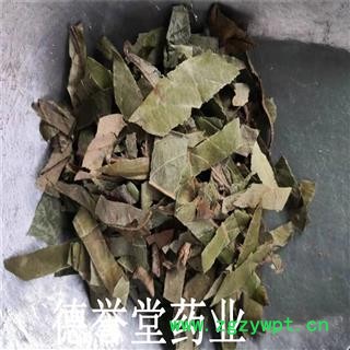 德誉堂药业 枇杷叶 选 枇杷叶 产地 天津 批发各种中药材图3